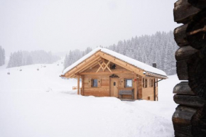 Chalet Silvesterhütte
